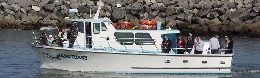 Sanctuary Cruises whale watching boat on Monterey Bay