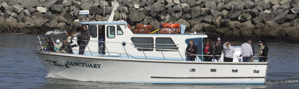 Sanctuary Cruises whale watching boat on Monterey Bay