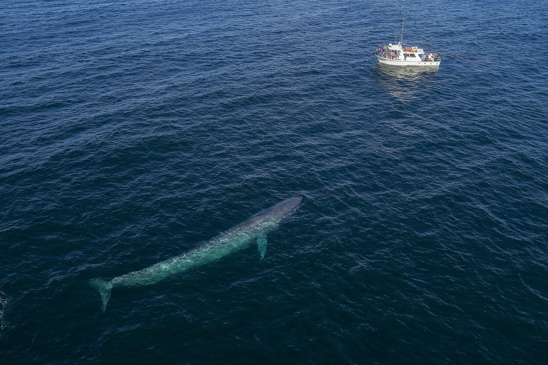 All Day Trip Around Monterey Bay