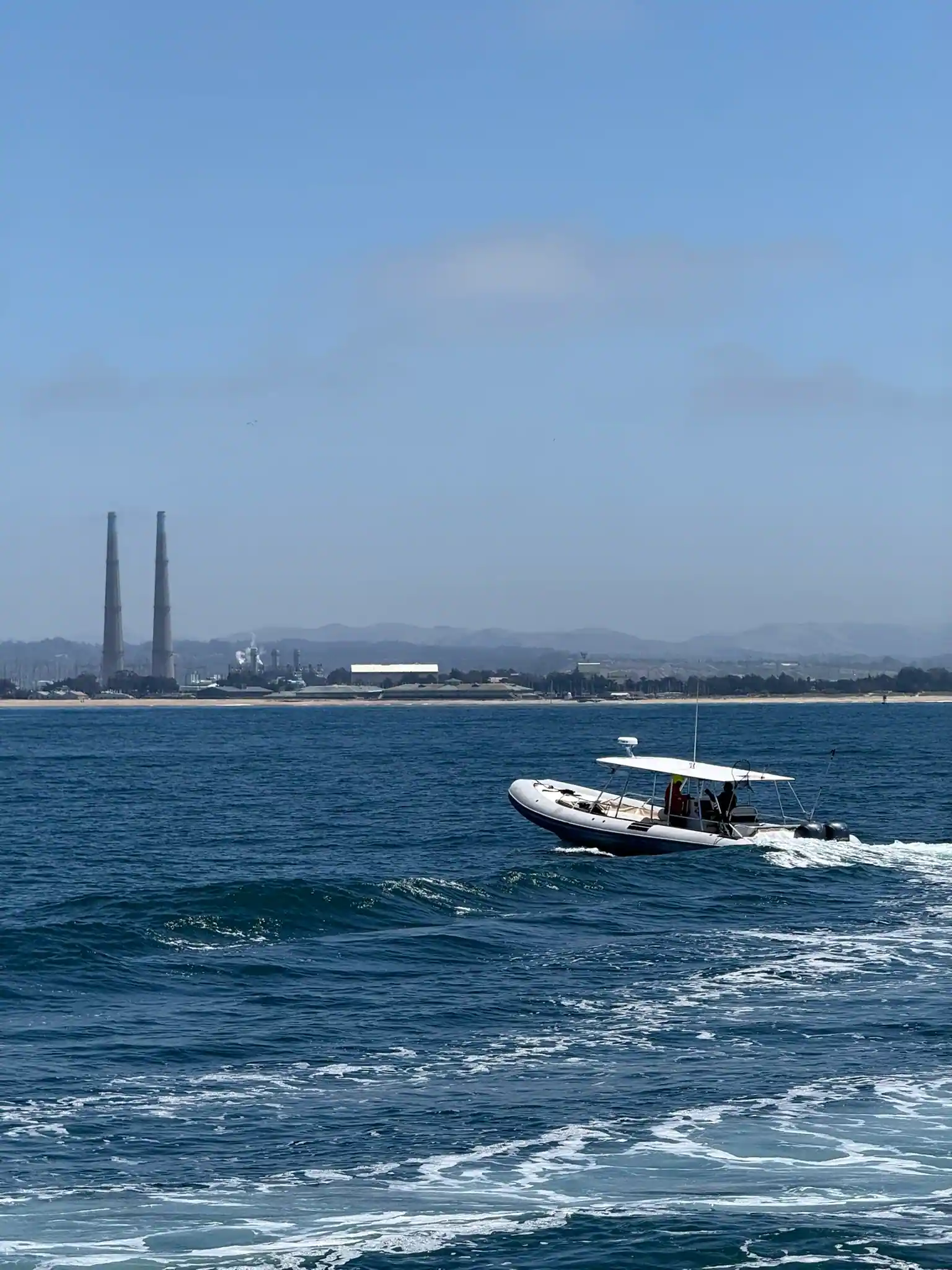 High Speed RHIB Whale Watch
