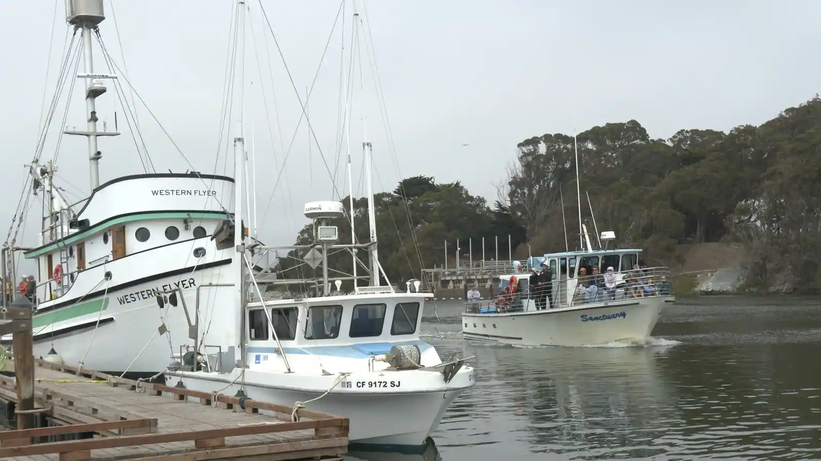 Sanctuary Cruises fleet on Monterey Bay