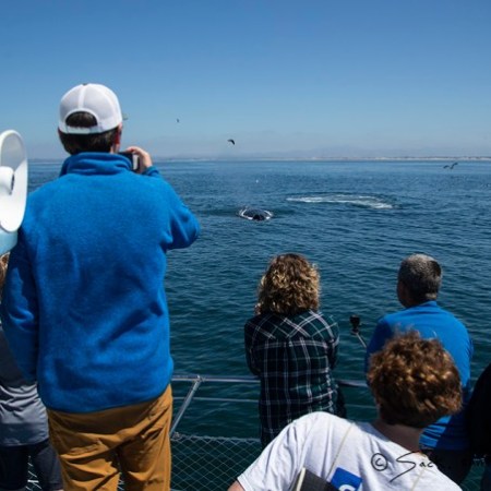 a group of people standing next to a body of water