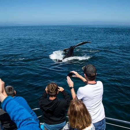a group of people in a body of water