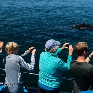 a group of people in a boat on a body of water