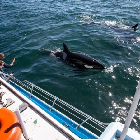 a group of people on a boat in the water