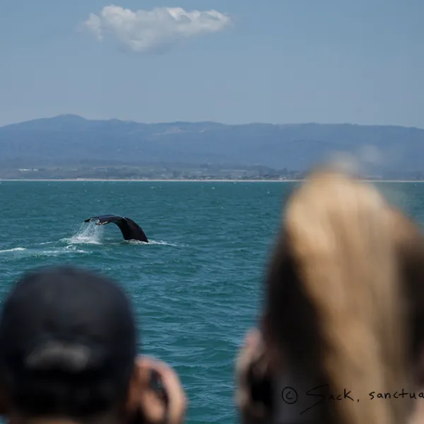 a group of people in a boat on a body of water