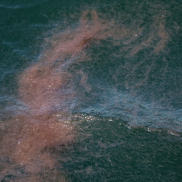 a man riding a wave on a surfboard in the water