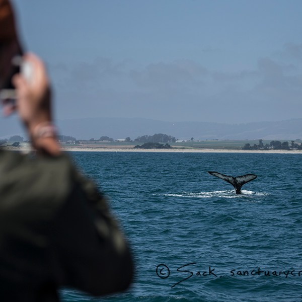 a man standing next to a body of water