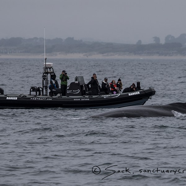 a group of people in a boat on a body of water