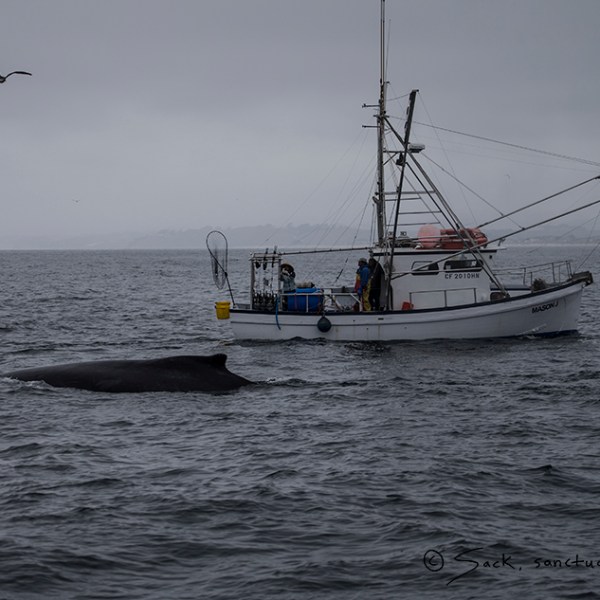a large ship in a body of water