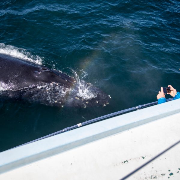 a person riding a wave on a surfboard in the water