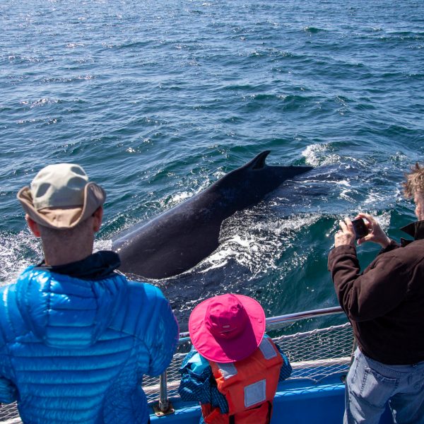 a group of people sitting next to a body of water
