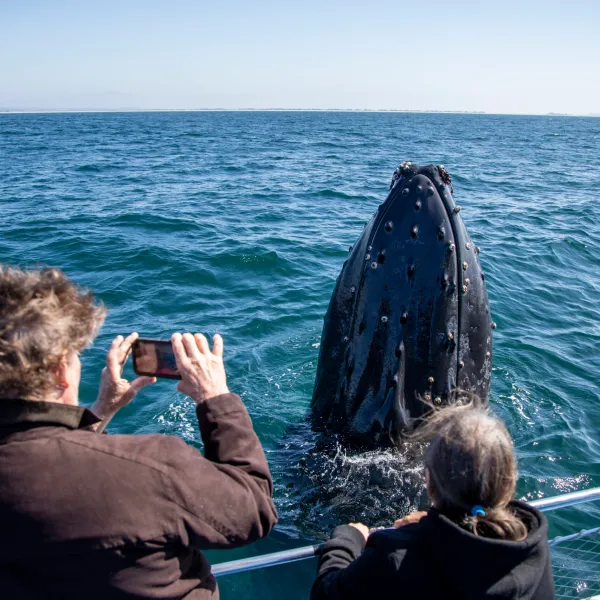 a man and woman sitting next to a body of water