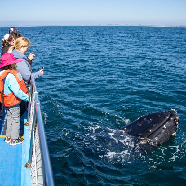a group of people on a boat in the water