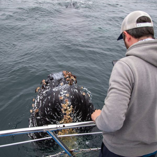 a man that is standing in the water