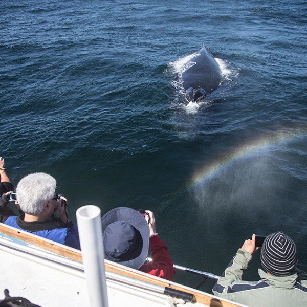a man riding on the back of a boat in the water