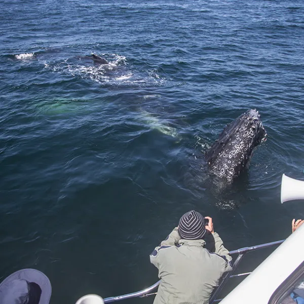 a man sitting in a boat on a body of water