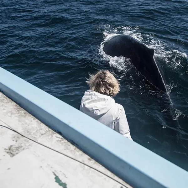 a person standing next to a body of water
