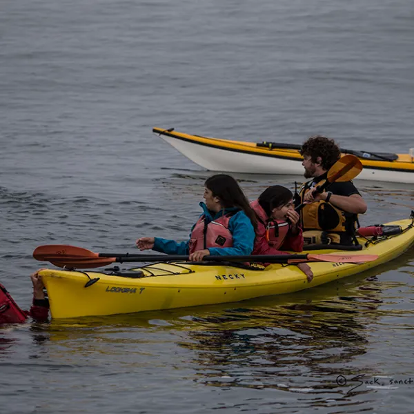 a group of people rowing a boat in the water