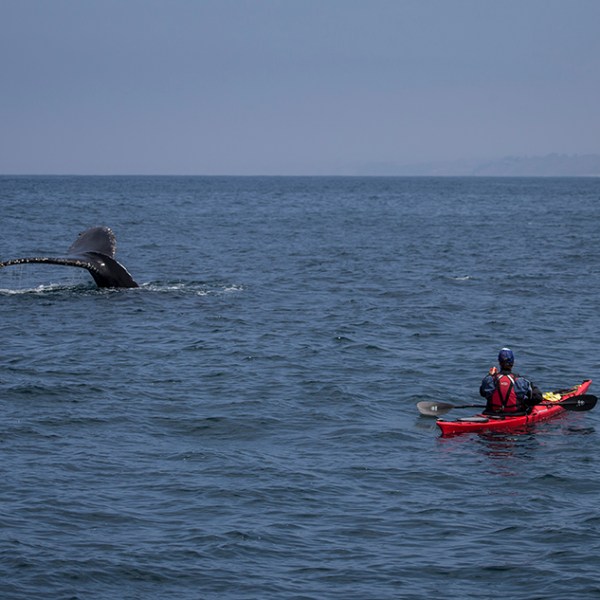 a group of people in a boat on a body of water