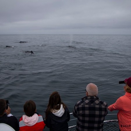a group of people standing next to a body of water