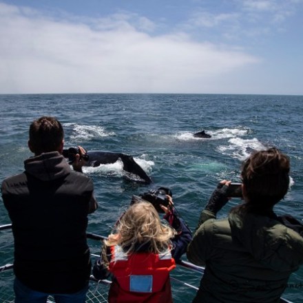 a group of people standing next to a body of water