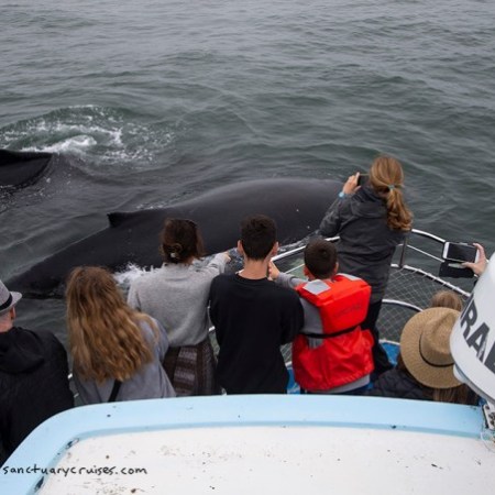 a group of people in a boat on a body of water
