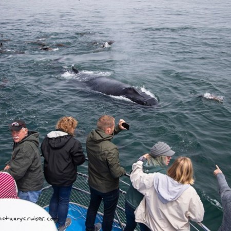 a group of people standing next to a body of water