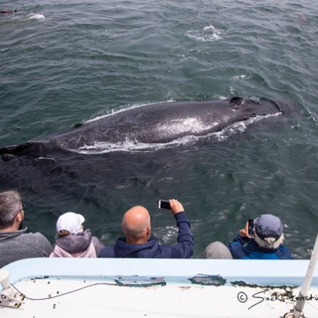 a group of people on a boat in the water