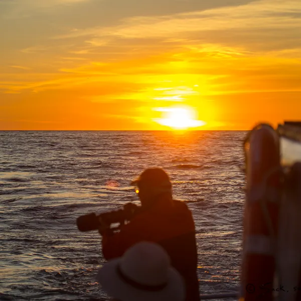 a close up of a person with a sunset in the background