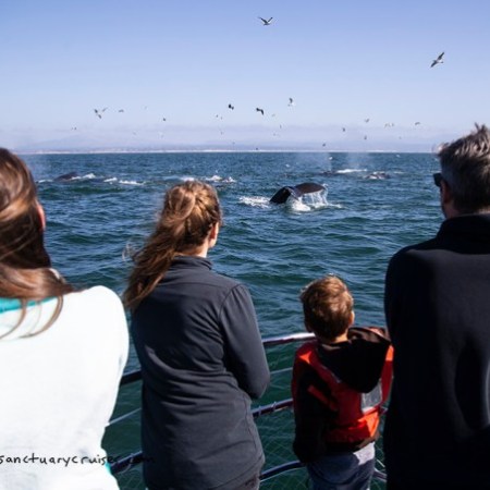 a group of people standing next to a body of water