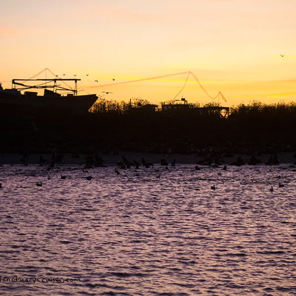 a sunset over a body of water