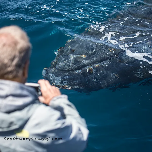a man sitting next to a body of water
