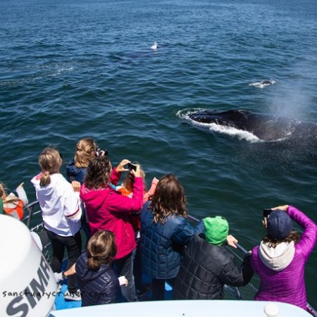 a group of people standing next to a body of water