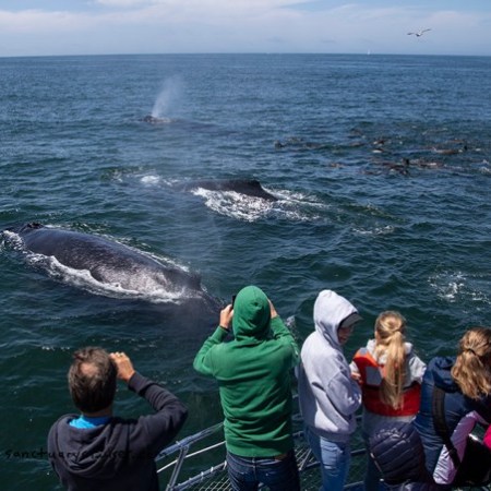 a group of people standing next to a body of water