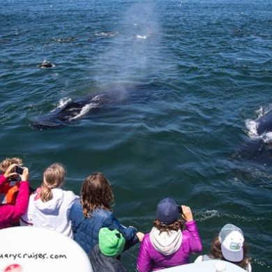 a group of people standing next to a body of water
