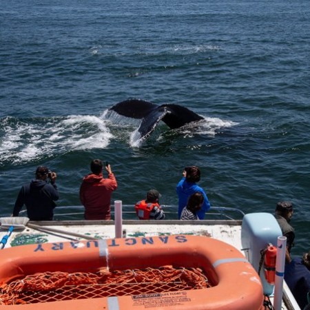 a group of people on a boat in the water