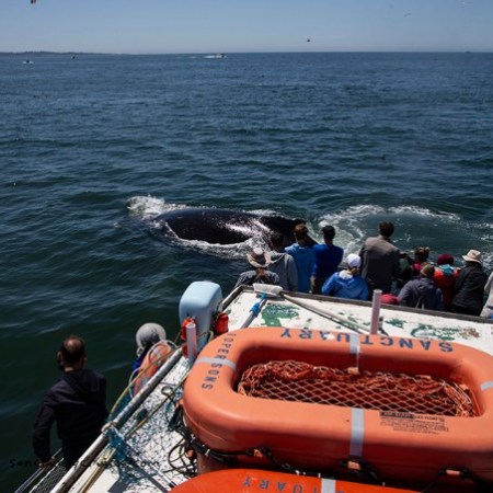 a group of people on a raft in a body of water