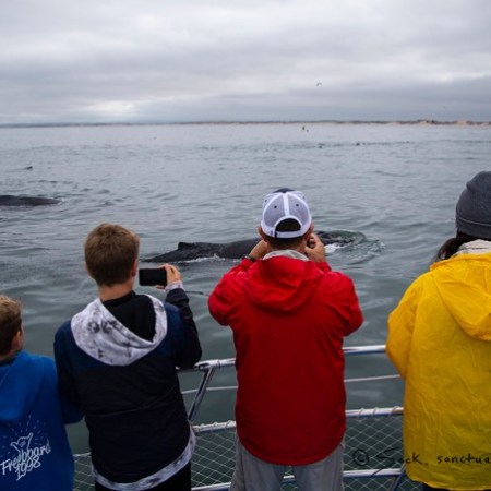 a group of people standing next to a body of water