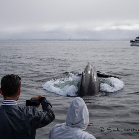 a man standing next to a body of water