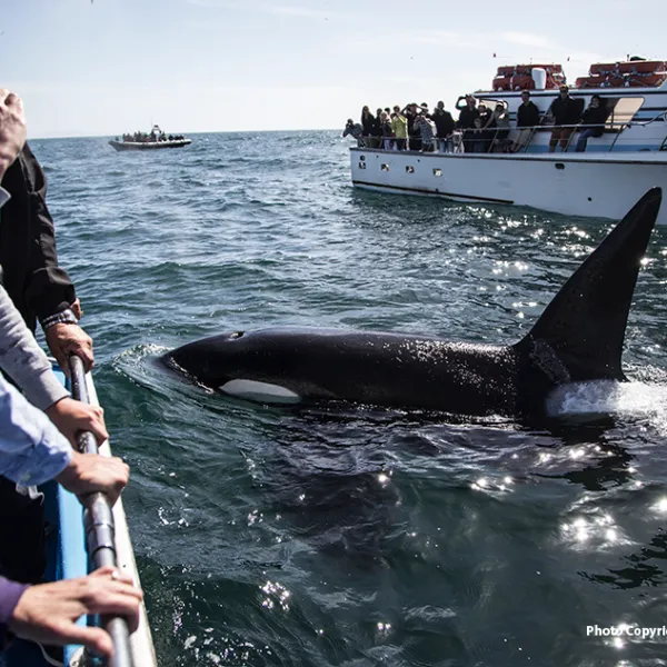 a person standing next to a body of water