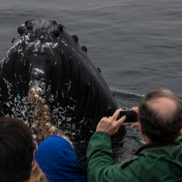 a group of people on a boat in the water