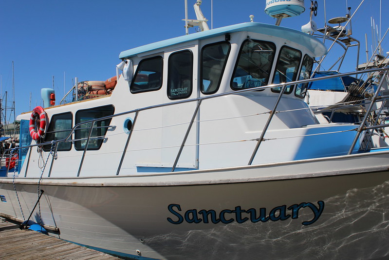 Our Vessel in Monterey Bay, CA | Sanctuary Cruises